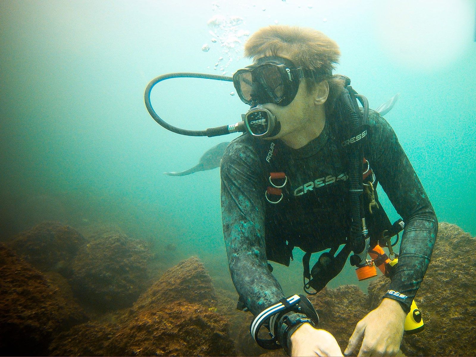 Scuba Diving in Puerto Vallarta PADI PV Ocean Tours
